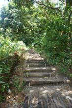 Walkway stairs to natural hot springs in Roseau Dominica.jpg