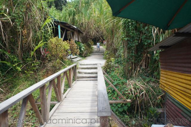 Walkway to natural hot springs in Roseau Dominica.jpg