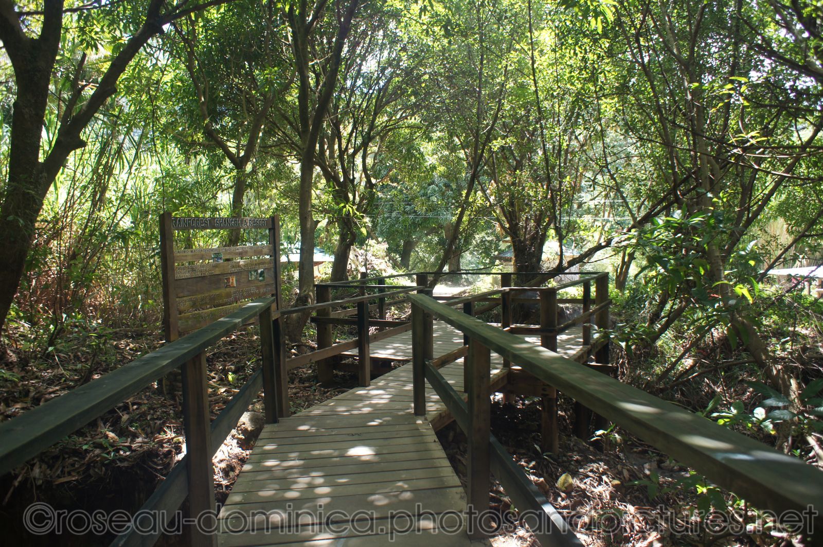 Boardwalk to natural hot springs in Roseau Dominica.jpg