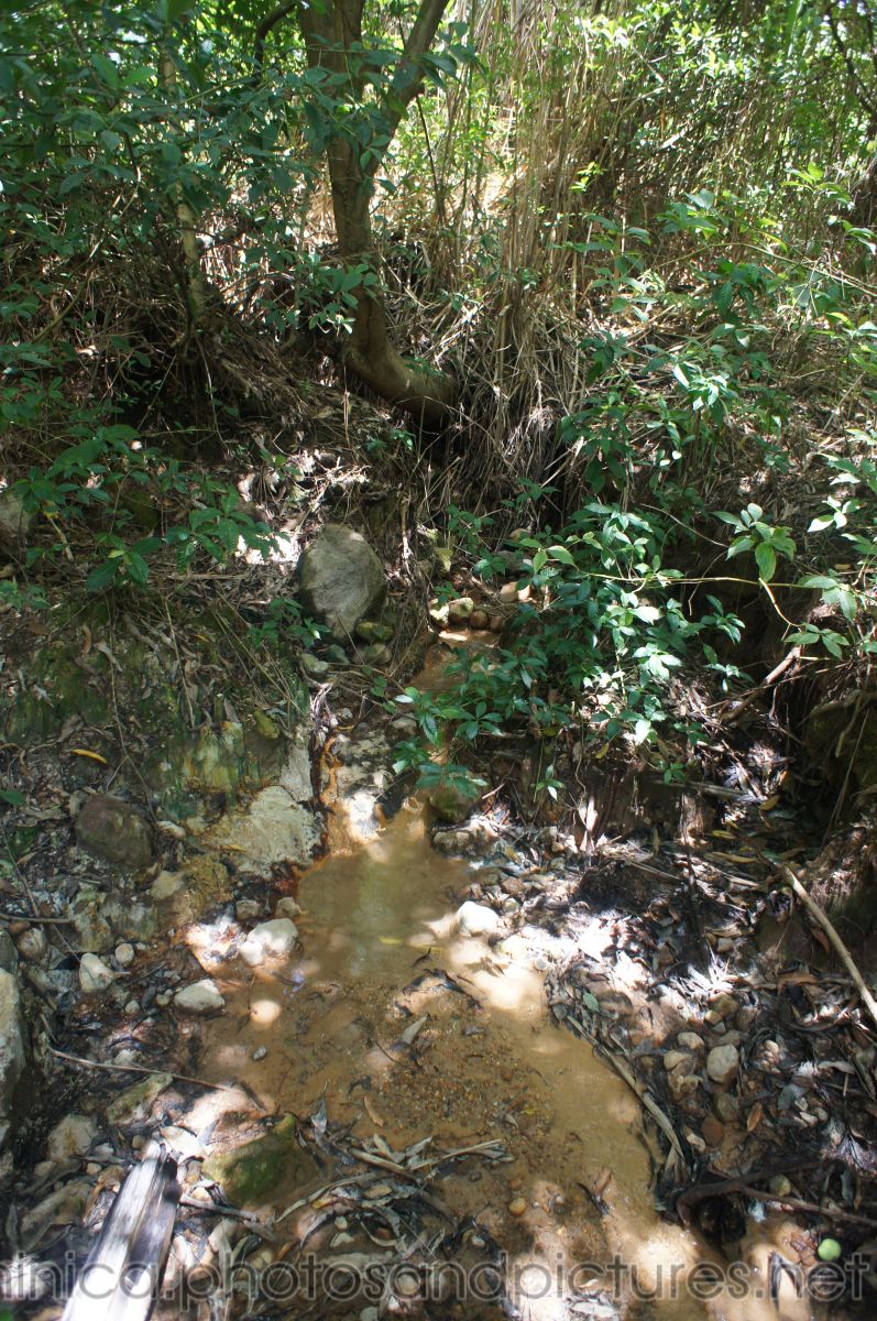 Muddy hot springs in Roseau Dominica.jpg