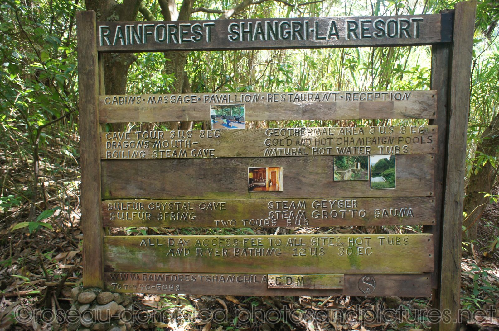 Rainforest Shangri-La Resort in Roseau Dominica.jpg