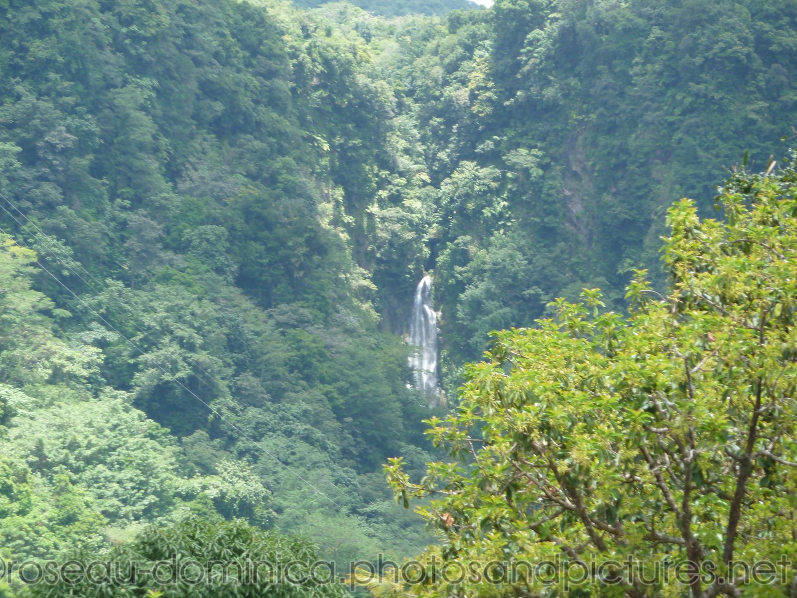 Waterfall at Roseau Dominica.jpg