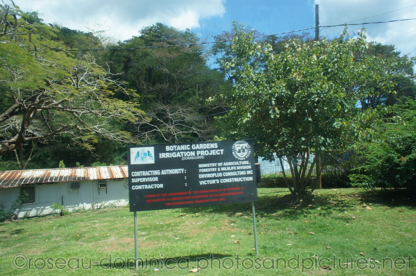 Roseau Dominica Botanic Gardens area.jpg