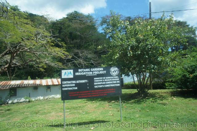 Roseau Dominica Botanic Gardens area.jpg