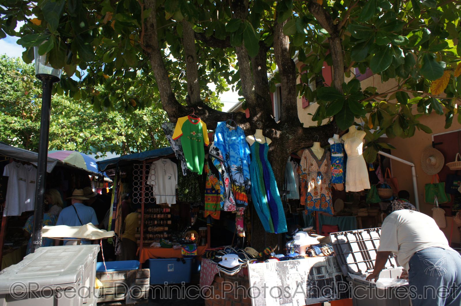 Roseau Dominica clothing for sale.jpg