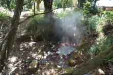 Roseau Natural Hot Springs Pictures & Photos