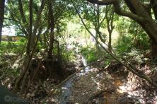 Sulfur hot springs in Roseau Dominica.jpg