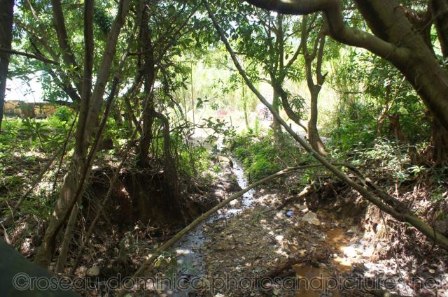 Sulfur hot springs in Roseau Dominica.jpg