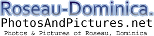 Roseau-Dominica Gallery Logo